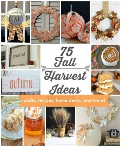 Fall Harvest Art and Decor - 100 Directions