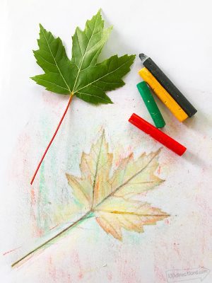 How to Make Leaf Rubbing Art and Leaf Art Printable - 100 Directions